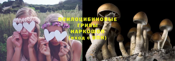 крисы Алзамай